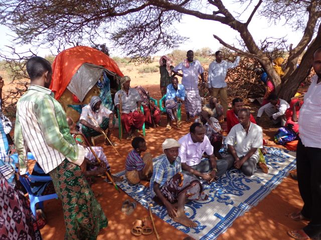 Ett tjugotal människor står och sitter på filtar i skuggan av ett träd.