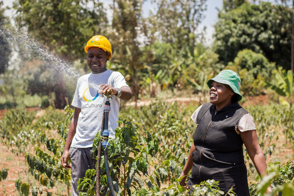 Josephine Waweru i sin odling
