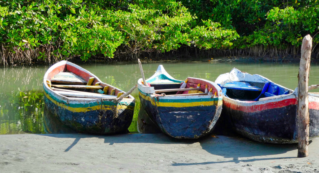 Tre färgglada fiskebåtar i mangrove i Colombia