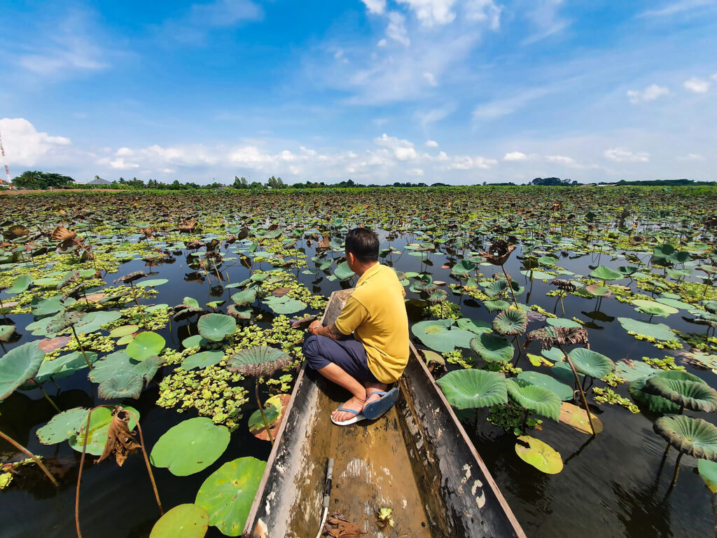 En man i en båt på ett vatten med många näckrosblad.