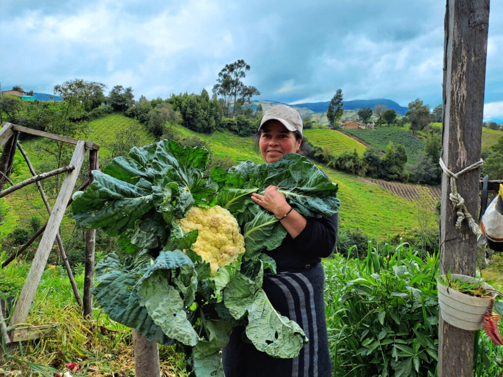 En kvinna visar upp ett stort blomkålshuvud.