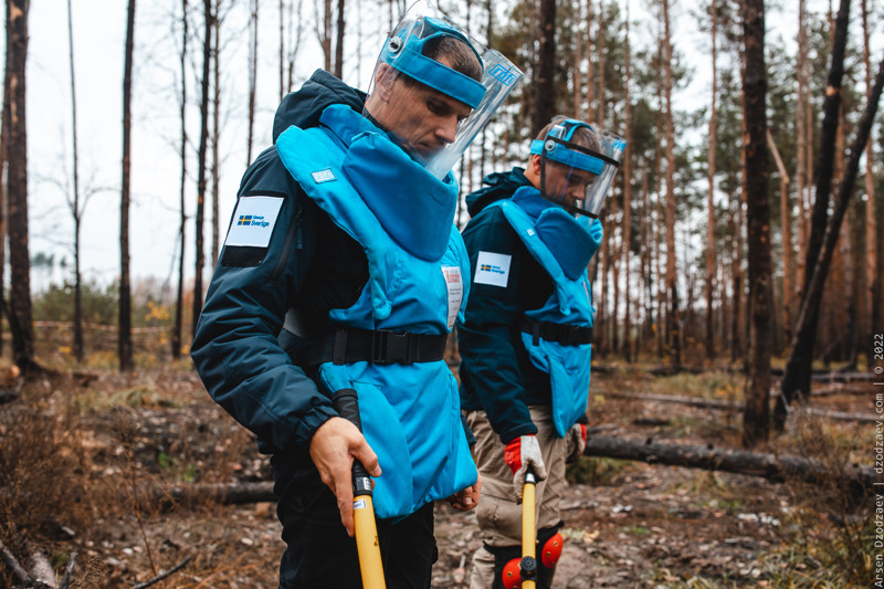 Två män i blåa skyddsvästar och genomskinliga skyddsvisir står i en skog en mulen dag. De håller i orange stavar och tittar ner i marken.