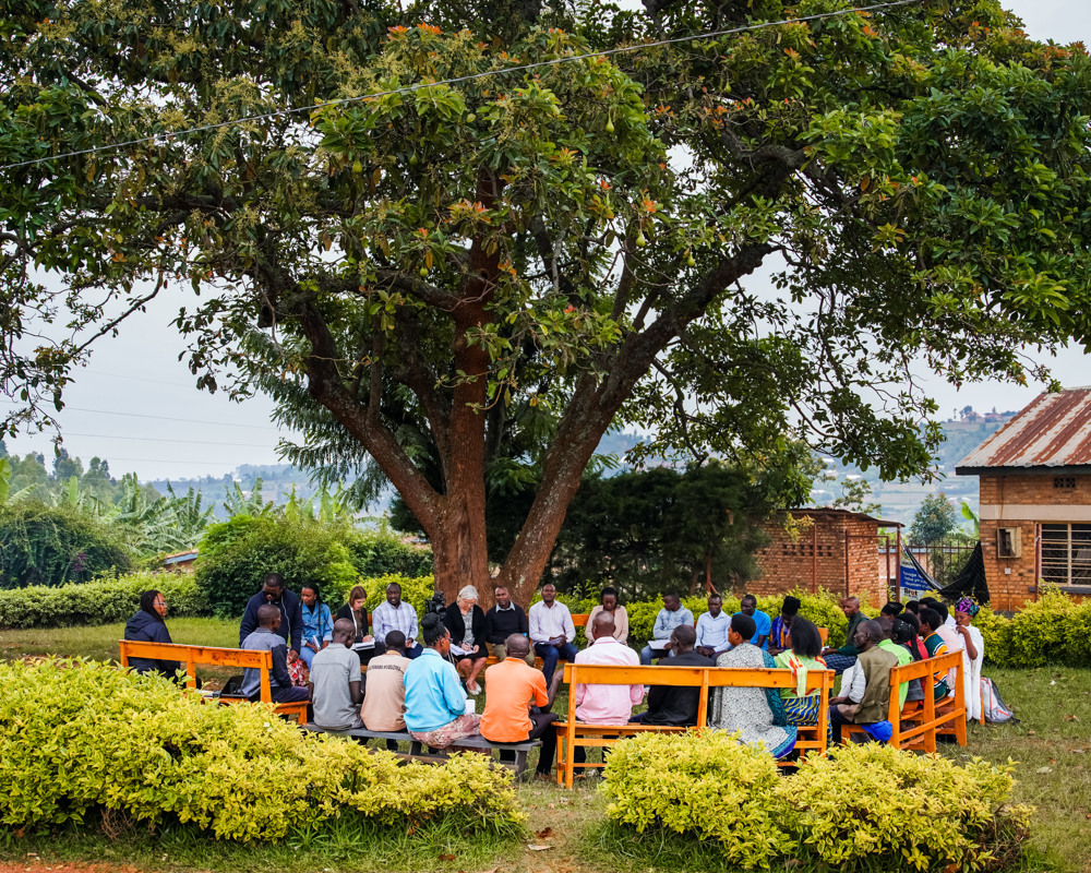 En stor grupp människor sitter på träbänkar i en ring under ett stort träd.