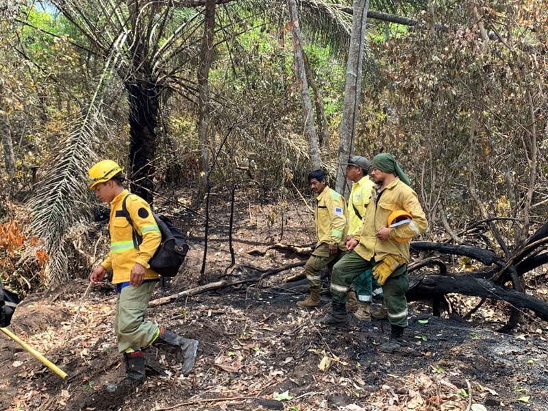 Bilden visar frivilliga brandmän som visar besökare från Sveriges ambassad i La Paz var de arbetat med att släcka i skogen intill byn Quitunuquina, Bolivia.