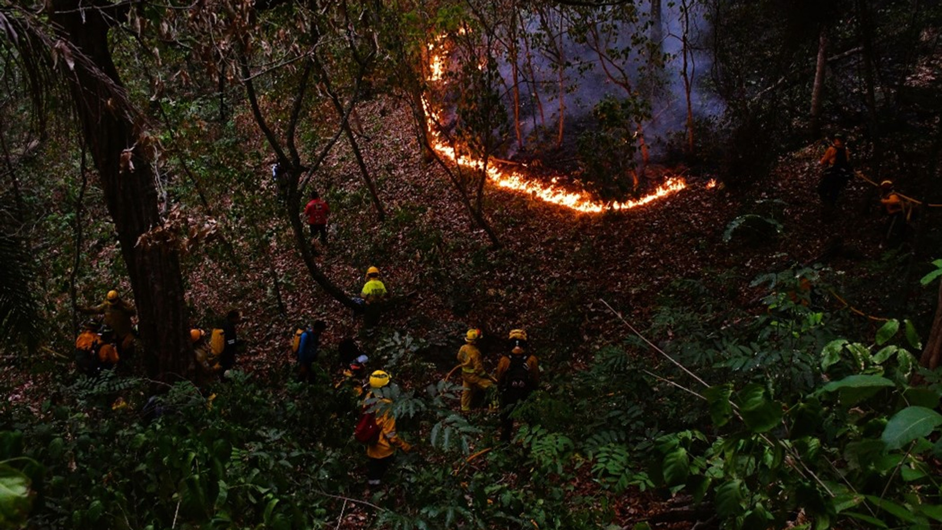 Vi ser ljusa lågor i en mörk skog i byn Quitunuquina i Bolivia.