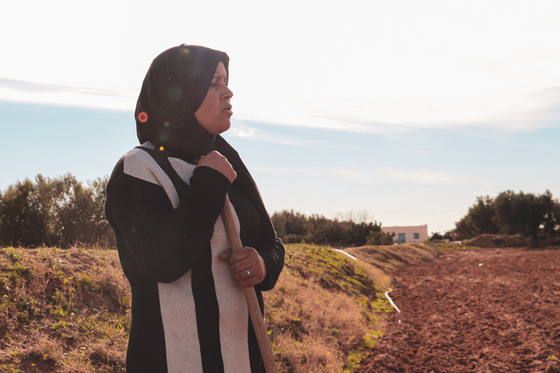 Fethia Bougtif, tunisisk jordbrukare blickar ut över sin odling. 