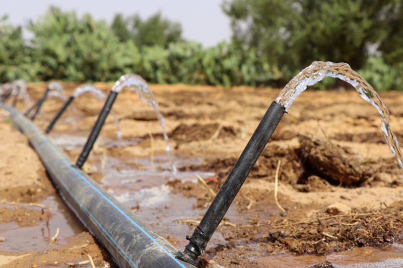 Vi ser exempel på bevattning via en slang som vattnar Fethia Bougtifs åkrar i Tunisien.