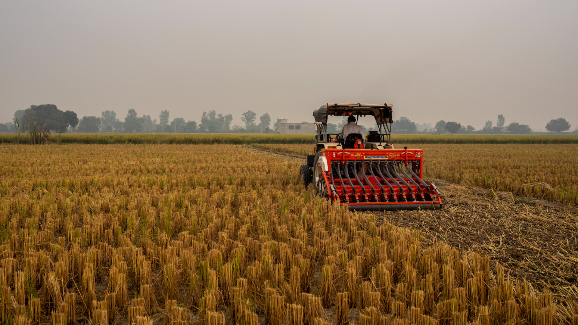 Skördetröska på ett fält.