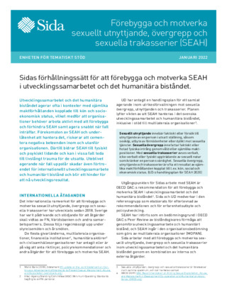 publikationsbild