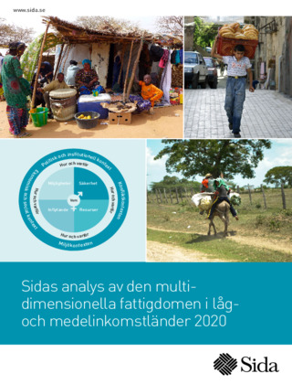 publikationsbild