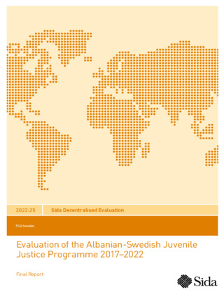 publikationsbild