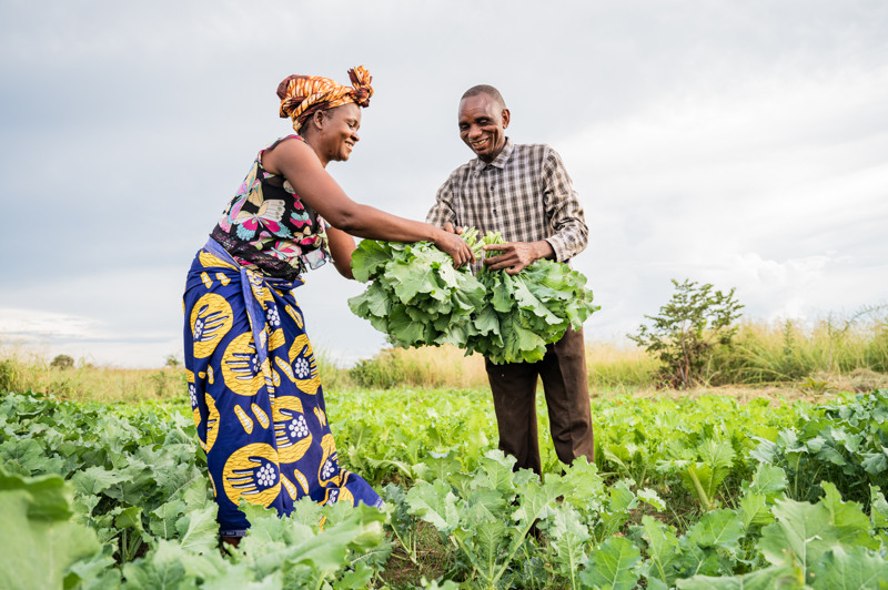 En man och en kvinna står på ett odlingsfält.