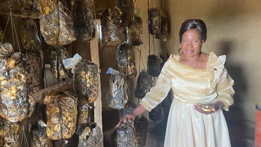 kvinna i fin klänning pekar på sin svampskörd som hänger på tork längs väggen.