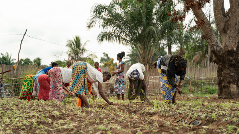 En grupp människor arbetar på ett fält.