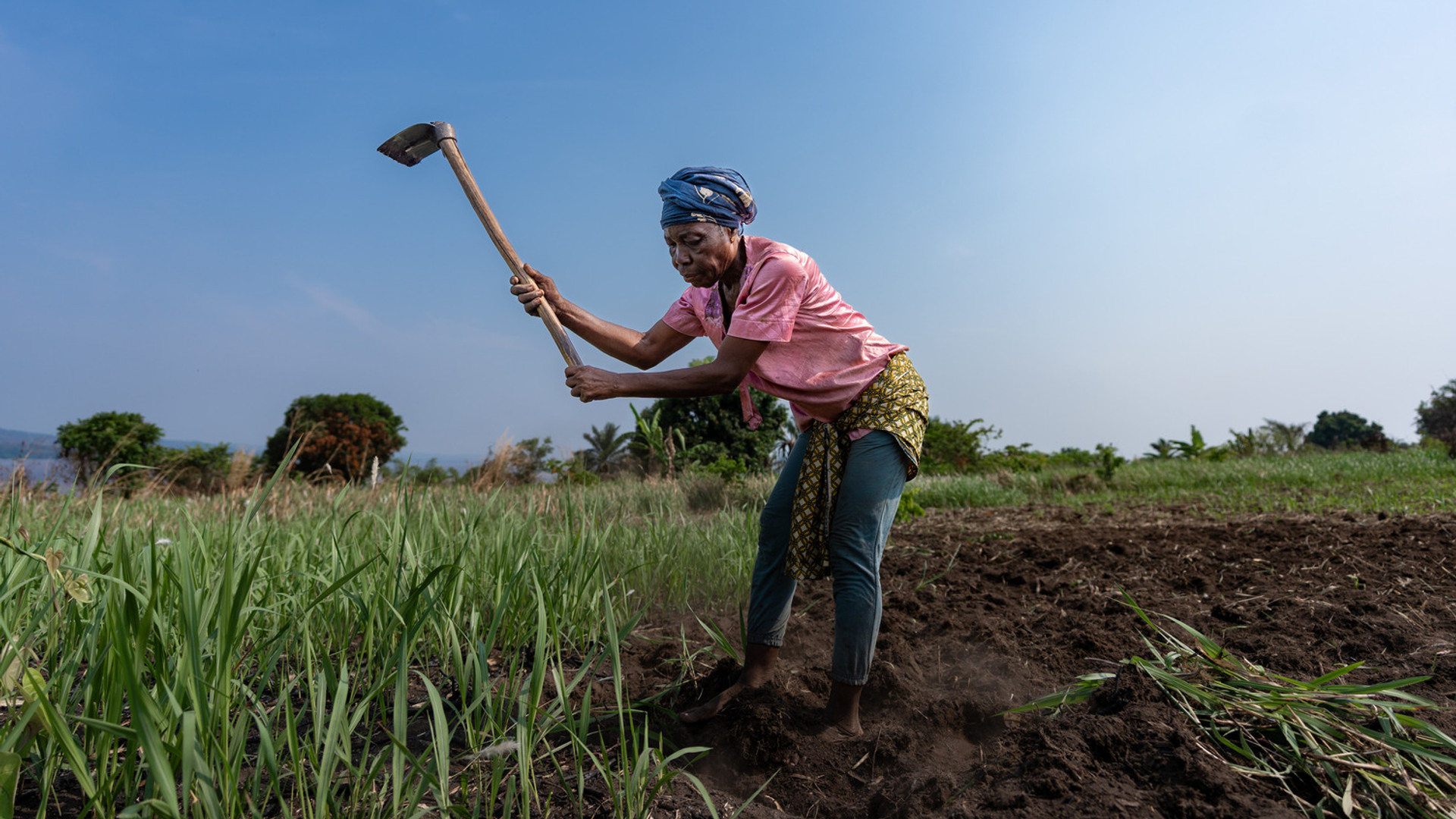 En kvinna arbetar på ett fält med en hacka.