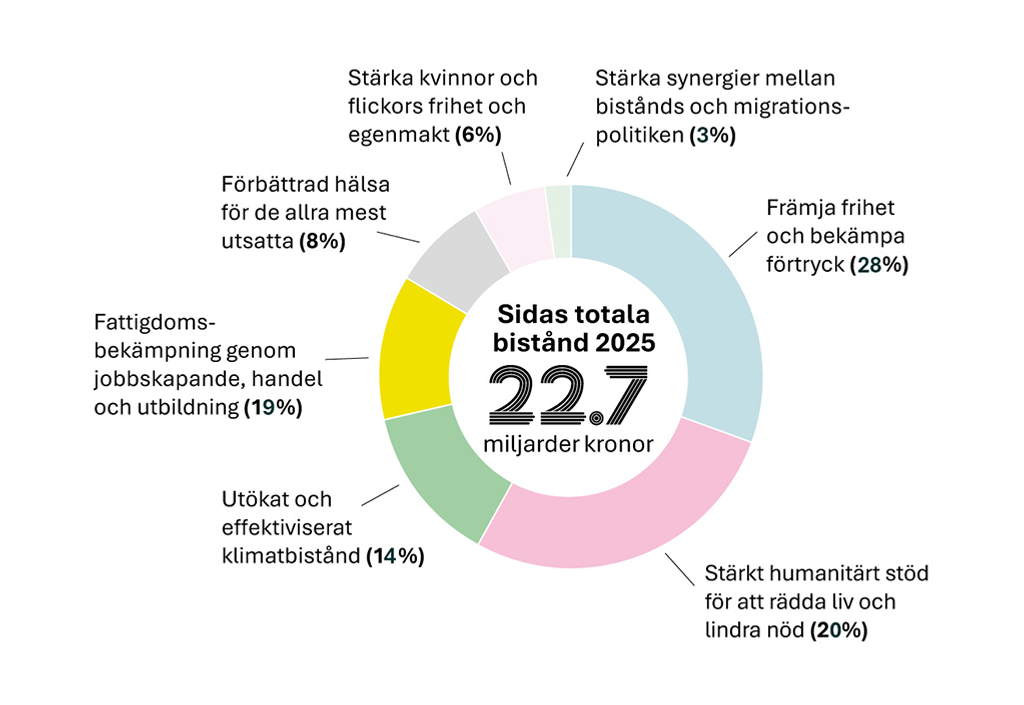 Grafen visar hur biståndets procentuellt fördelades mellan Sidas prioriterade tematiska områden under 2025.